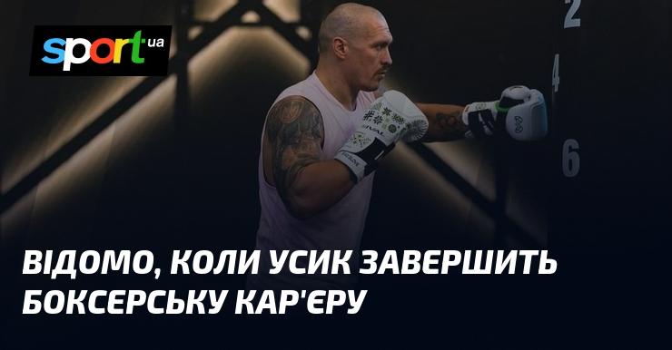 Відомо, коли Усик планує завершити свою кар'єру в боксі.