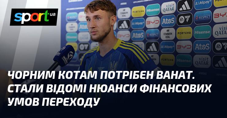 Чорним котам необхідний Ванат. З'явилися деталі фінансових умов його переходу.