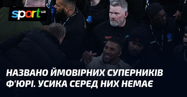 Названі потенційні суперники для Ф'юрі, але Усика серед них не виявилося.