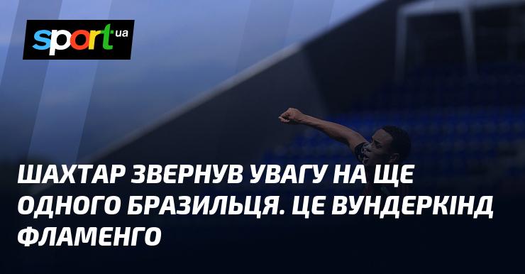 Шахтар виявив інтерес до ще одного бразильського таланту. Це молодий обдарований гравець з Фламенго.