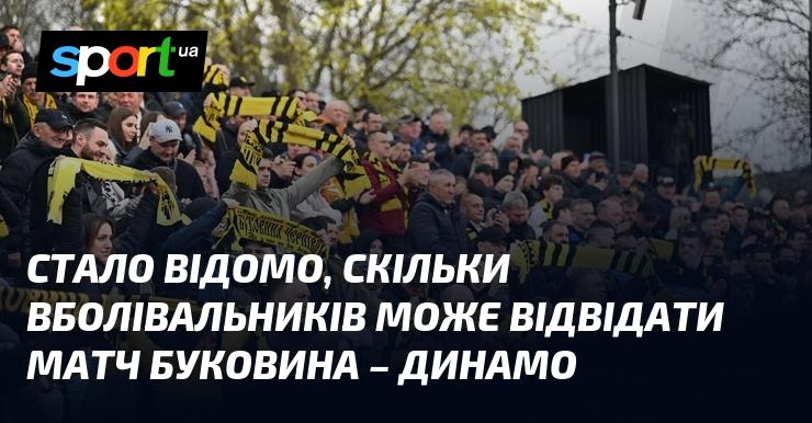 З'ясувалося, скільки фанатів зможе бути присутніми на зустрічі між Буковиною та Динамо.